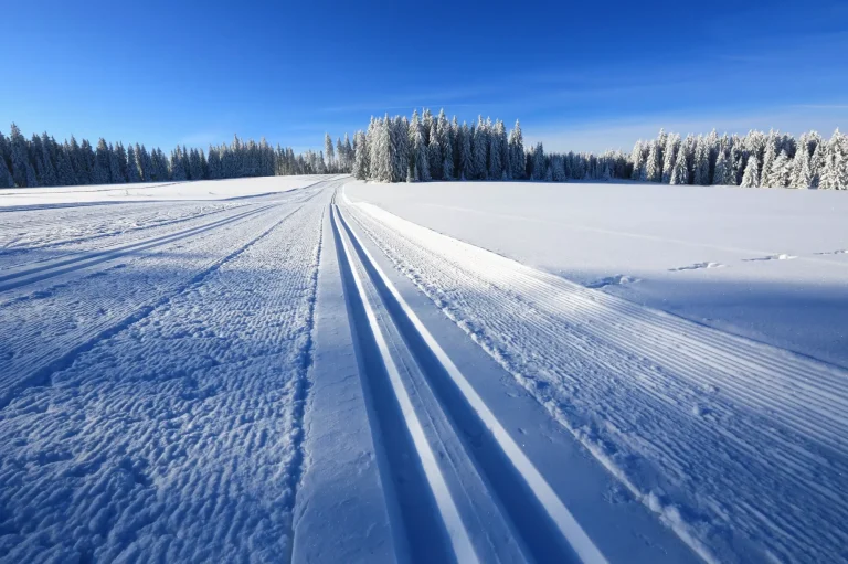Vinterlandskap och spår för skidåkare