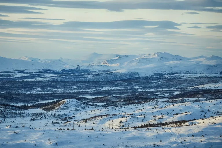 Paysage d'hiver norvégien